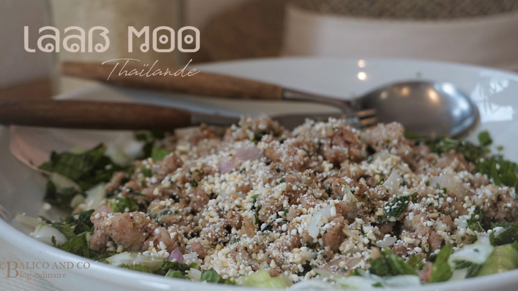 Salade de porc haché Laab Moo - Recette de Cuisine thaï © Balico and co