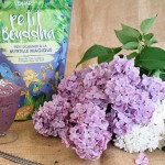 Crème glacée végétale à la myrtille, fraise des bois et Petit Bouddha d'Iswari © Balico and co